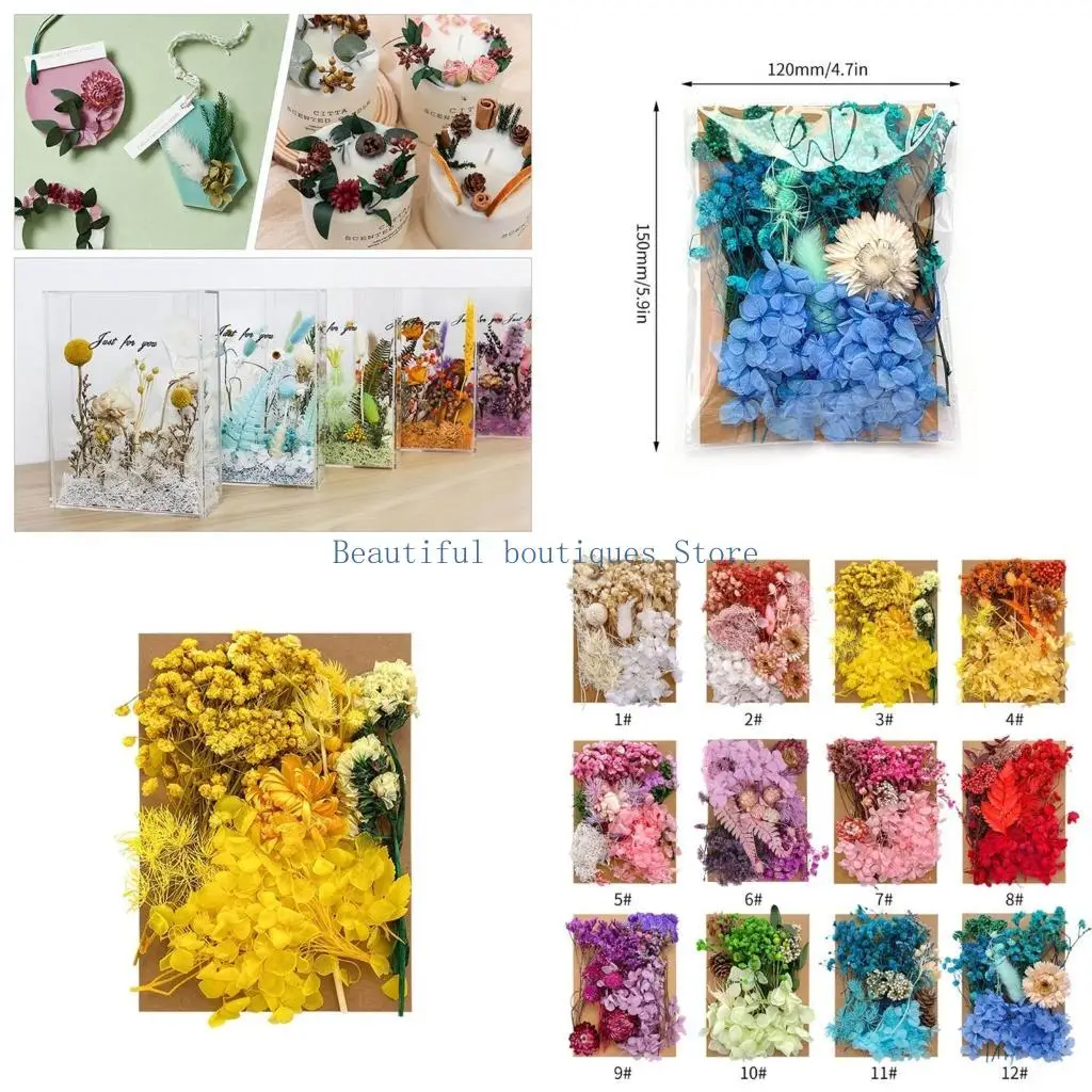 

U4LF Floral Fillers Set Comprehensive Dried Flower Material Set Dried Flower Package Flower Arranging Supplies for DIY Crafts
