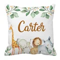 PillowCase only