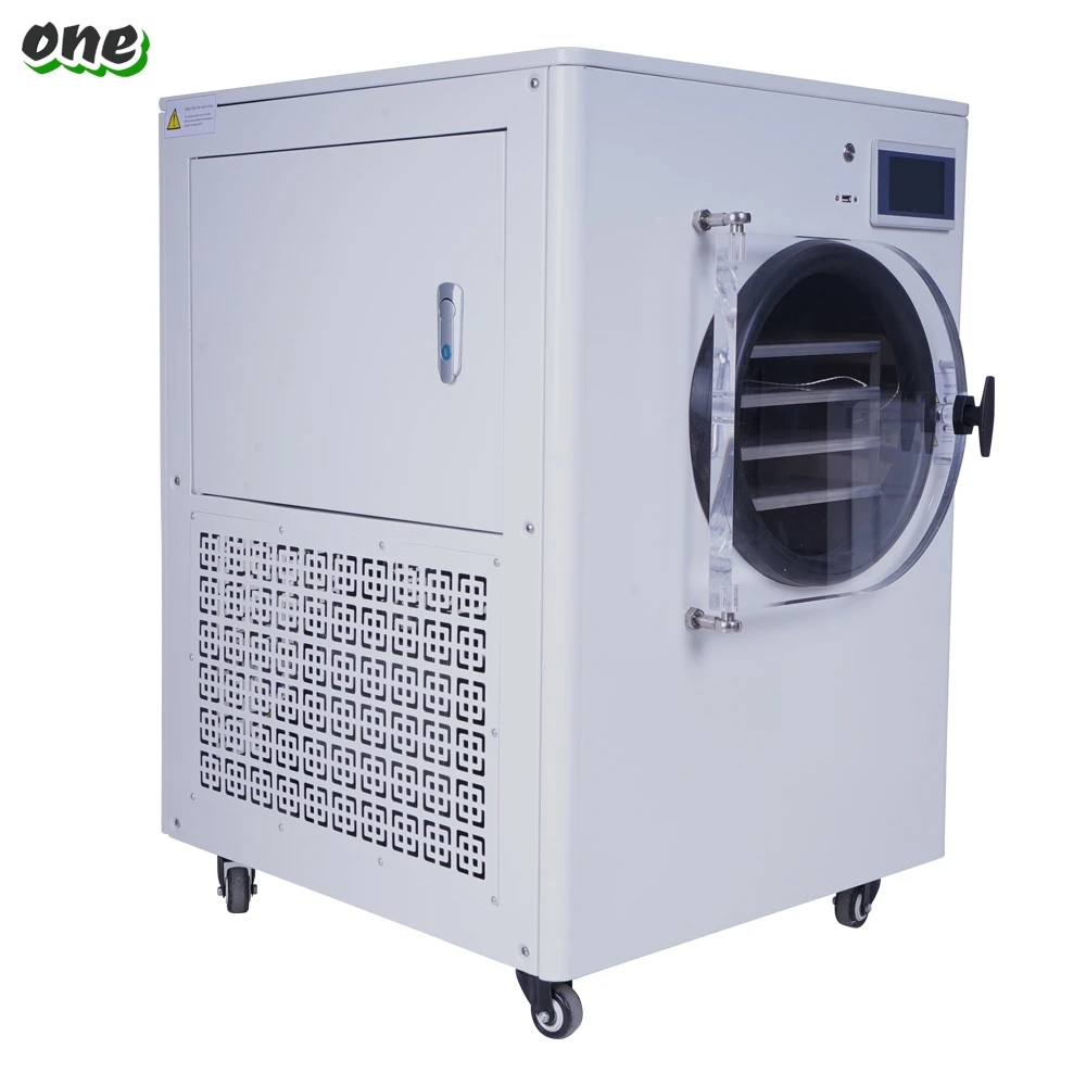 

Lanphan Small Freeze Dryer Mini Vacuum Liofilizador Lyophilizer For Home Lab Hot Sale