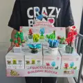 12PCS Original Box
