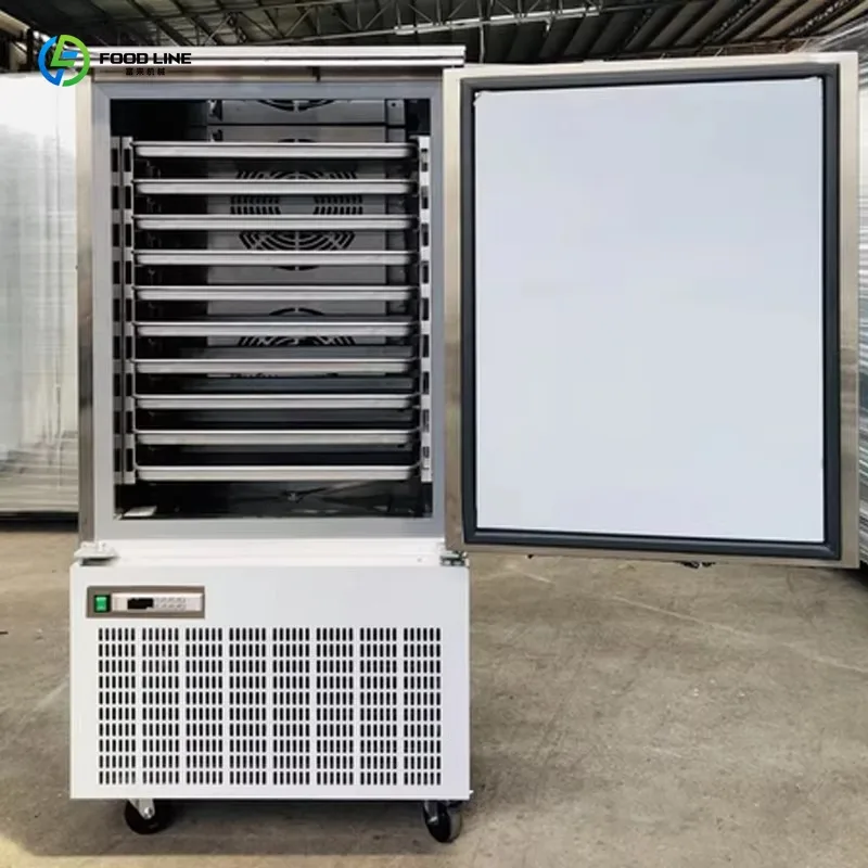 

Customized Commercial Meat Seafood Quickfreezer 10 Pallet Industrial Impact Blast Freezer Chiller