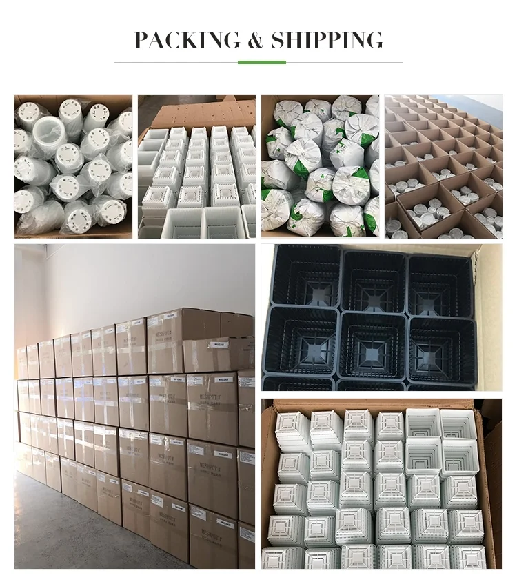 Meshpot Sukkulententopf mit Löchern, Kaktus-Lithop-Topf, Wurzelkontrolle, Sukkulenten-Pflanzgefäß, 10 Stück, 20 Stück – Detail 9