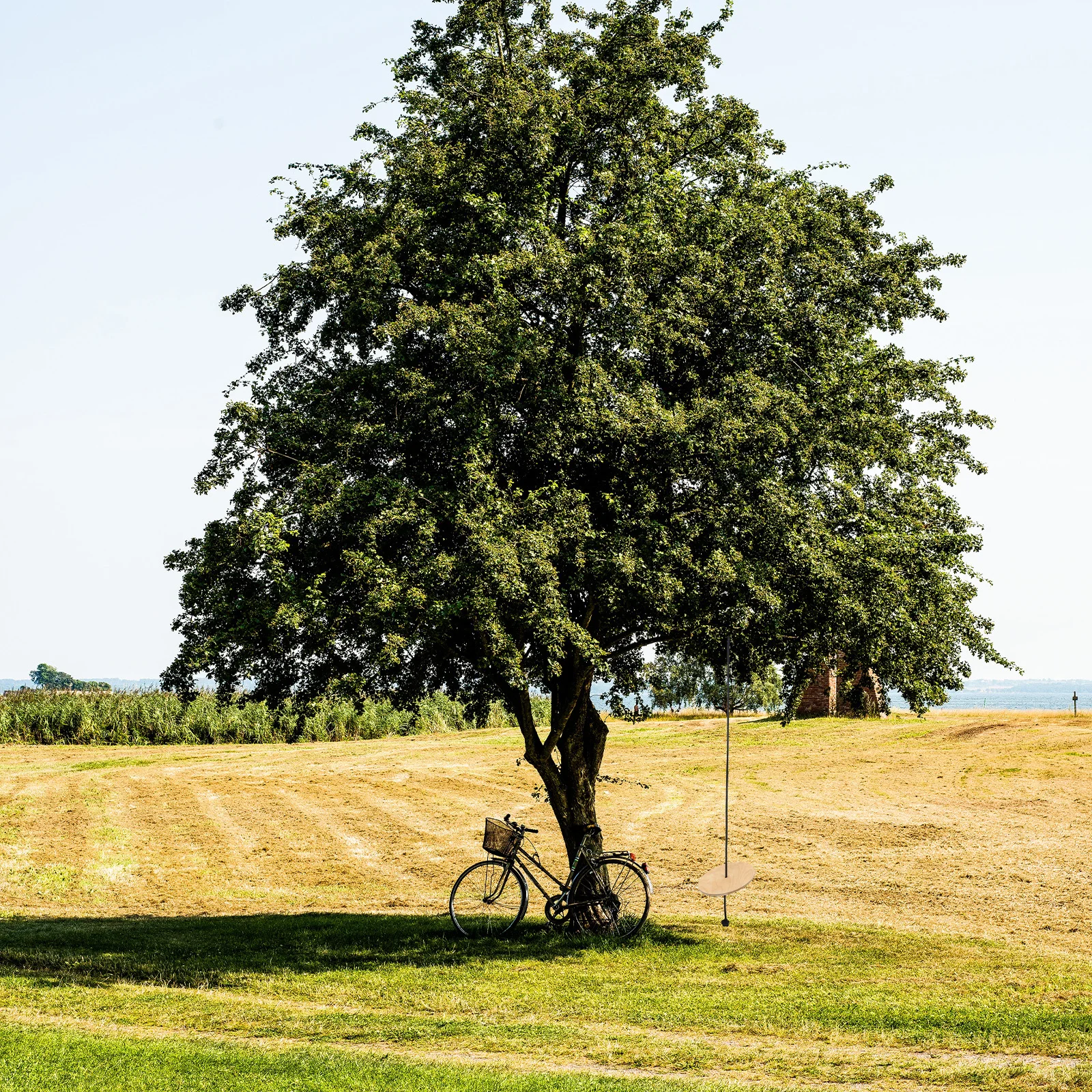 Children'S Wooden Disc Swing Thickened High-Strength Load-Bearing Outdoor Indoor Kids Curved Design For Home Studio