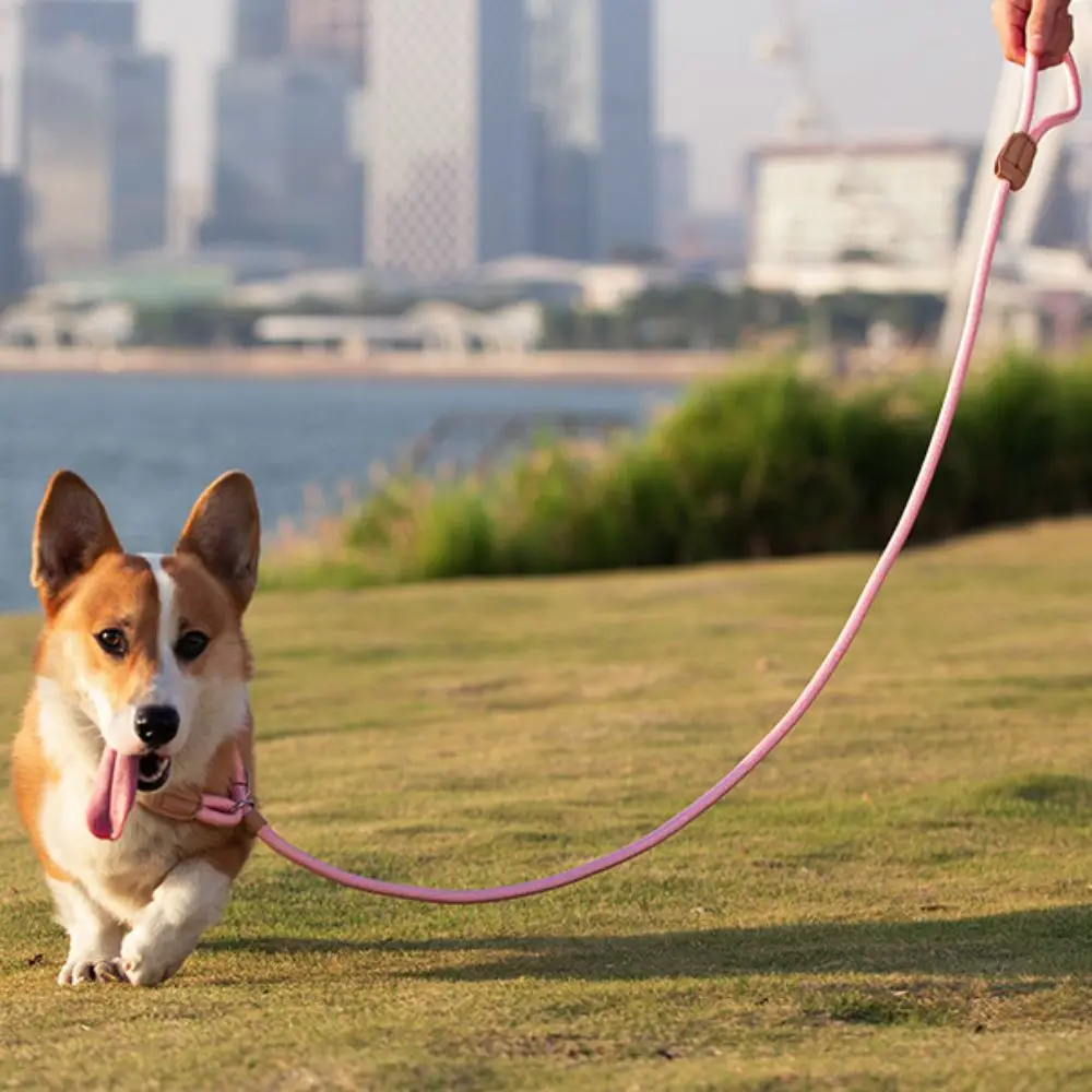 Regulowana smycz dla psa, wytrzymała nylonowa smycz do spacerów, odporna na rozdarcia, wytrzymała smycz do tresury szczeniąt, do ogrodu