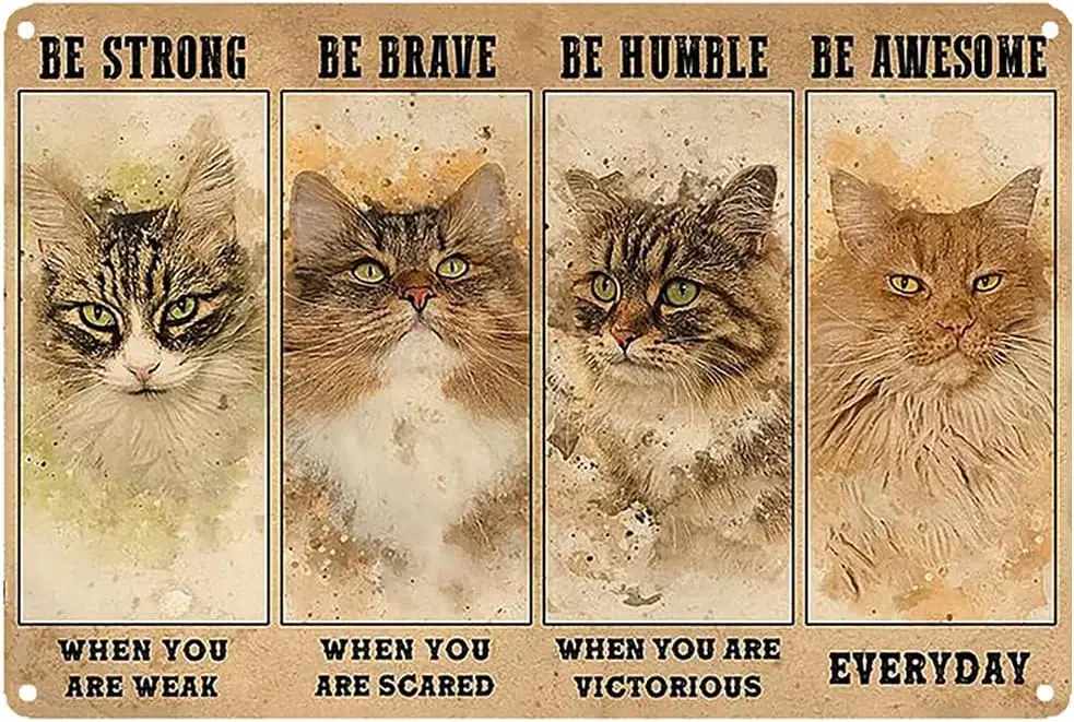 Four Different Stages of the State - Be Strong When You Are Weak Vintage Wall Decoration Tin Metal Signs Artwork - Encourag sign