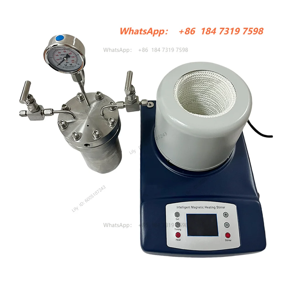 High Pressure Temperature Autoclave Reactor 25-500ml Magnetic Stirrer Customizable Top Quality