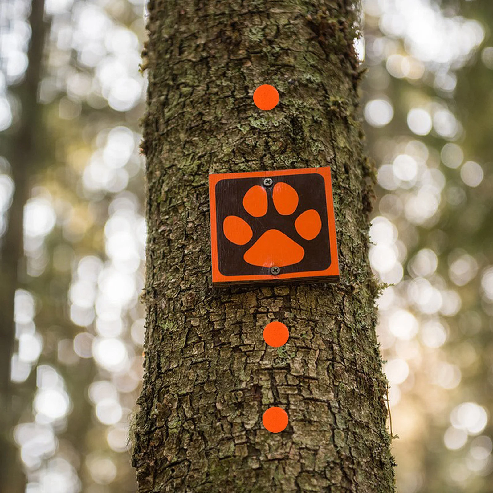 

50 Pcs Reflective Thumbtacks Night Camping Big Markers Glow Trail Pins Iron Durable Material Outdoor Adventure Hunting