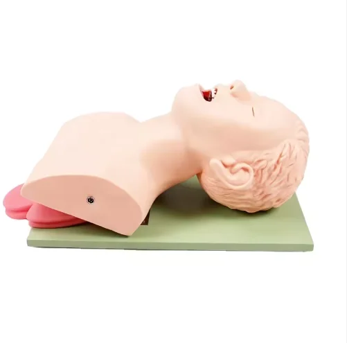 Electronic Tracheal Intubation Simulator Training Model With Teeth Compressed Alarm Type Manikin