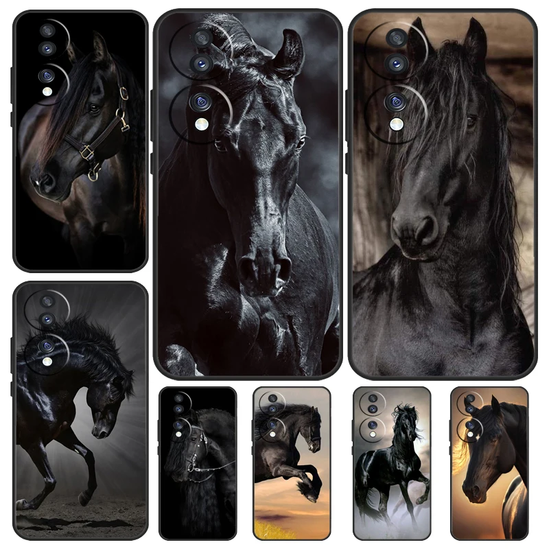 Beautiful Black Hor…