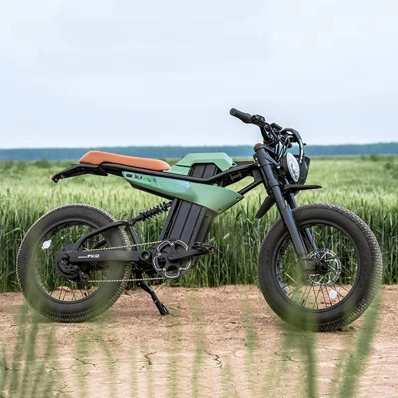 

Отправка 72 часа из нашей док-станции, электронный велосипед с полной подвеской, гидравлический передний амортизатор, электрический велосипед с толстыми шинами, вся цена продажи