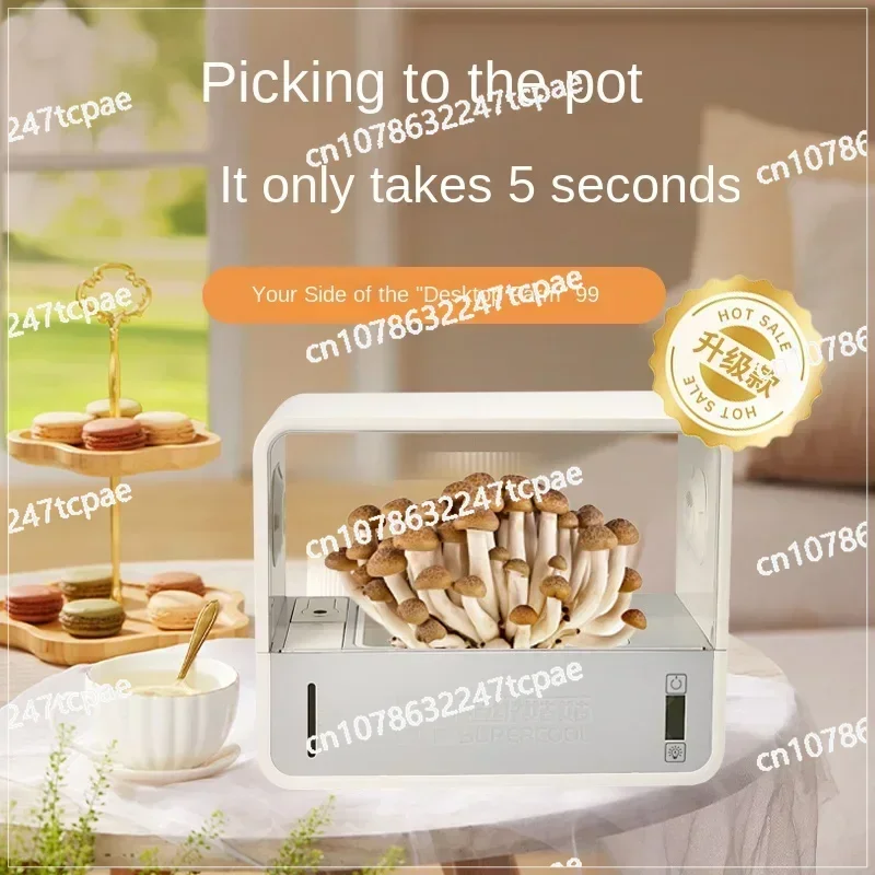 Super  Ecological Box Mushroom Planting Box Intelligent Indoor Shiitake  Planting Equipment