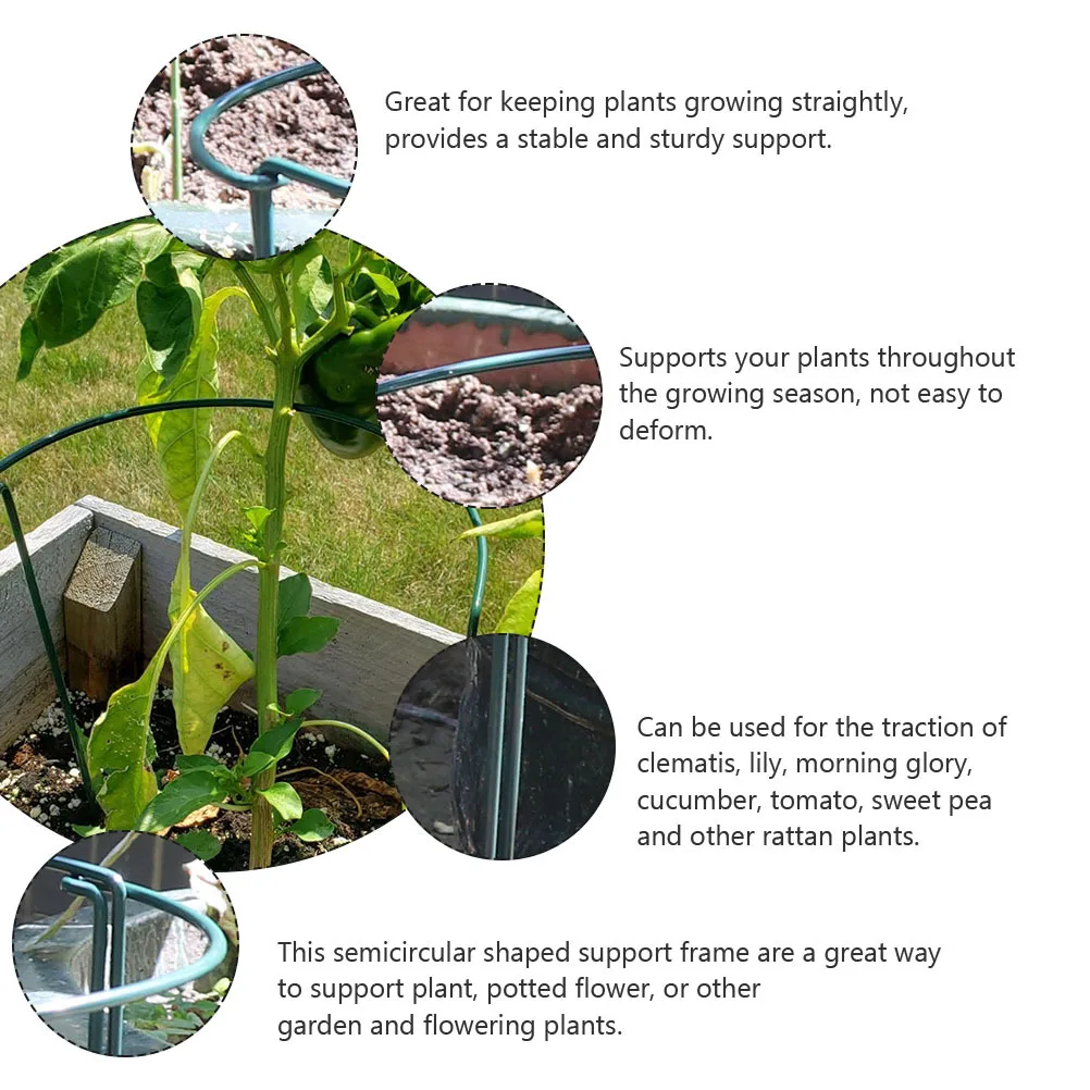 4 قطعة إطار دعم النبات نصف دائري دائم حديقة تعريشة بوعاء زهرة تسلق قفص النبات دعم لزنبق الطماطم Clematis