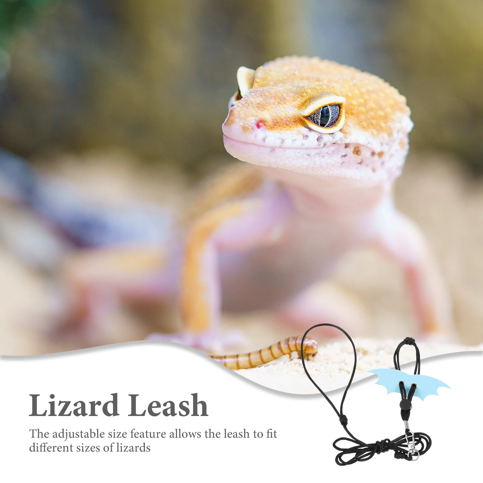 

1Set Portable Lizard Leash and Harness Bat Wing Shape Adjustable Reptile Traction Rope Outdoor Walking Gear Lizard Leash