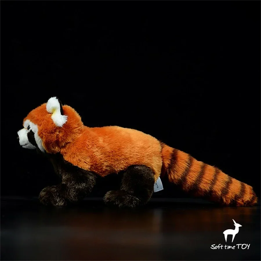 Red Panda Plush ของเล่นสมจริง Lesser Panda Plushie เหมือนจริง Himalayan Raccoon ตุ๊กตาสัตว์ Red Panda จําลองตุ๊กตาของขวัญ