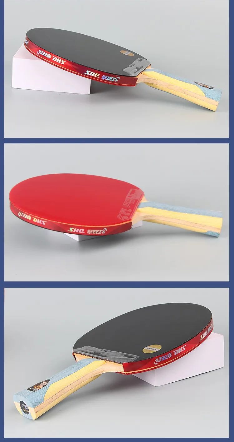 DHS H4002 4/5/6 Sterne Tischtennisschläger H5002 H6002 Ping-Pong-Schläger Professioneller Holzschläger mit Klebegummi – Detail 34