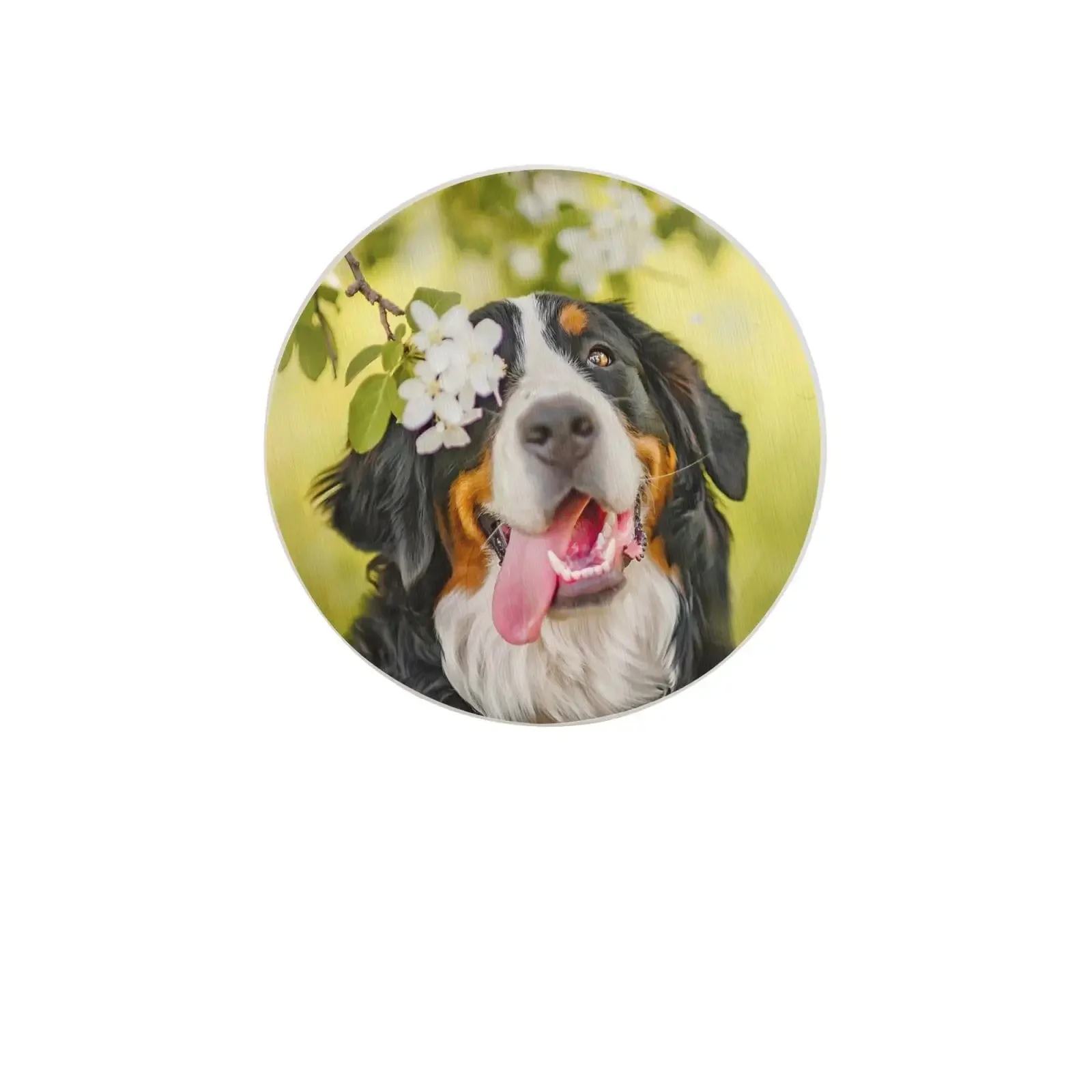 Interesting Bernese Mountain Dog Ceramic Coaster, Fast Water Absorption Pad Suitable for Coffee Pads, Dining Table Decoration