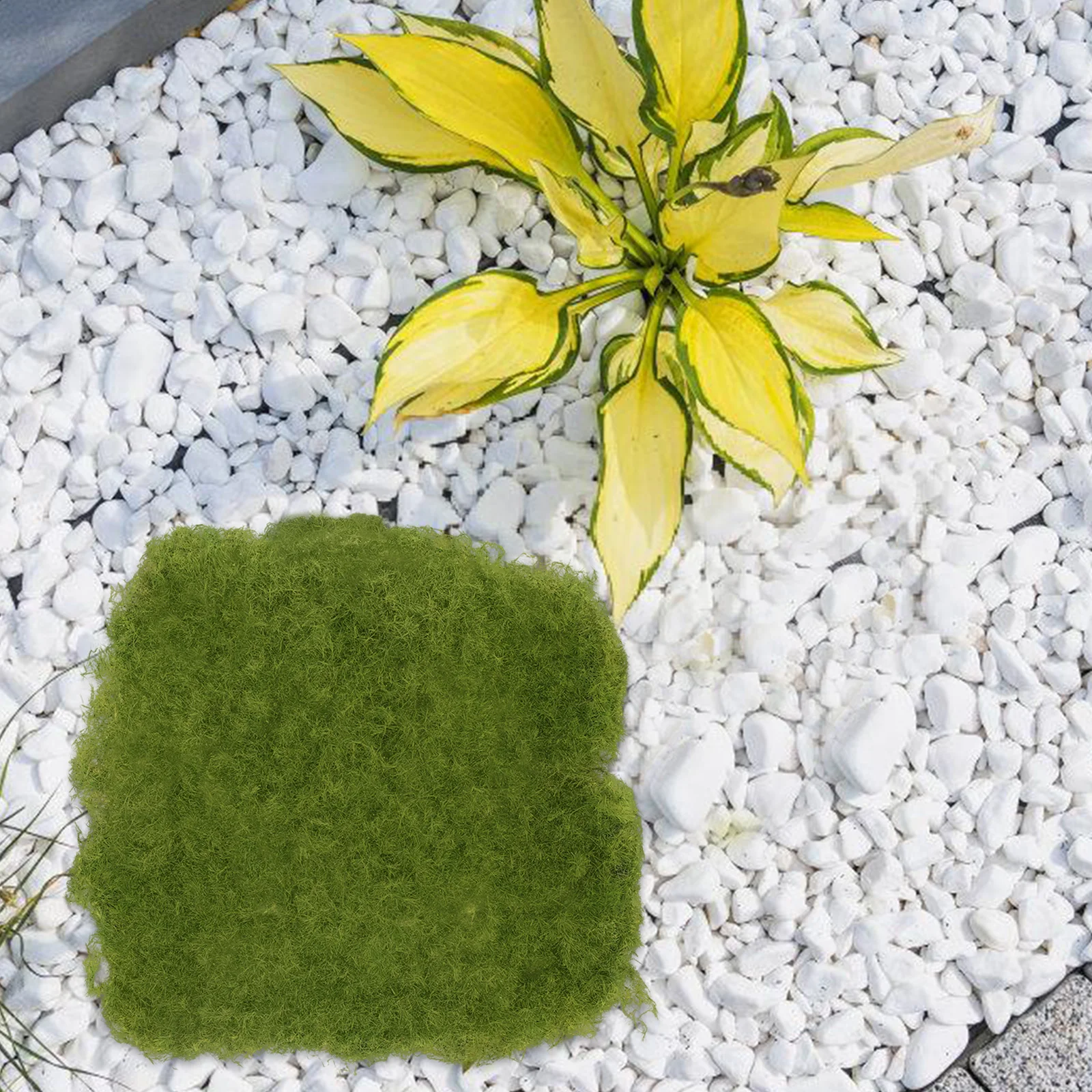 

Simulated Moss Ornaments Artificial Grass for Patio Decorative Area Rugs Flocking Durable Low Maintenance Versatile