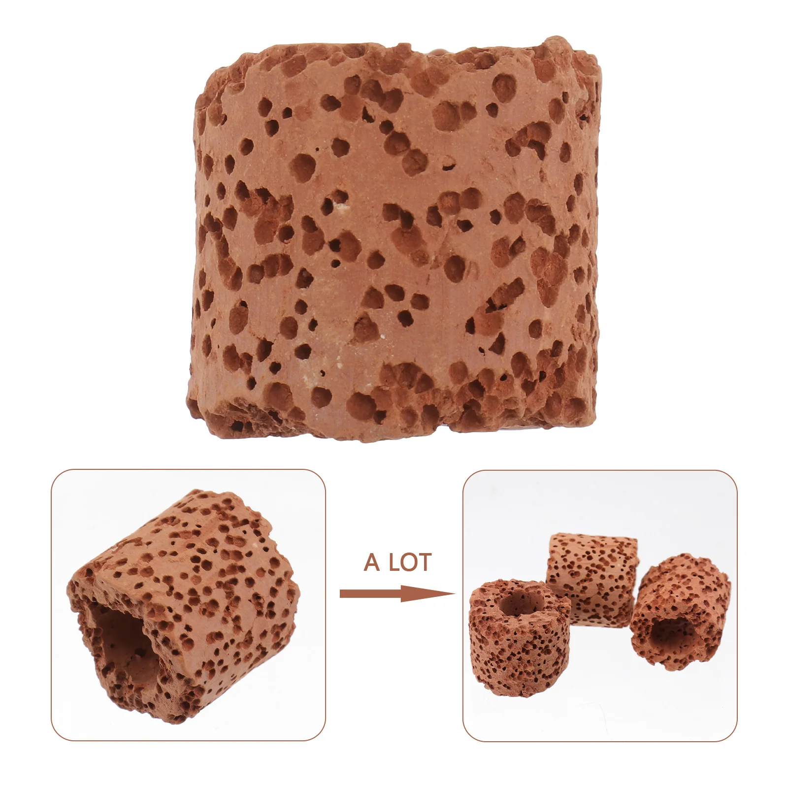 

10 шт., фиксированное кольцо для водяных растений из материала премиум-класса, прочный инструмент для украшения ландшафта в аквариуме, фиксированное кольцо для водяных растений