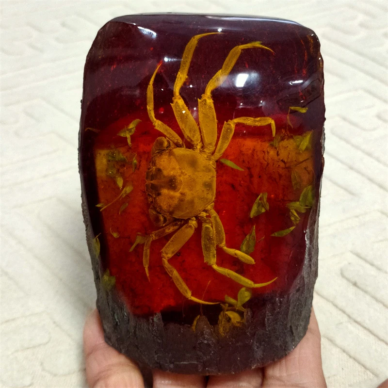 Antiqued artificial resin ornaments: amber butterfly, crab, dragonfly, cicada, scorpion, shrimp