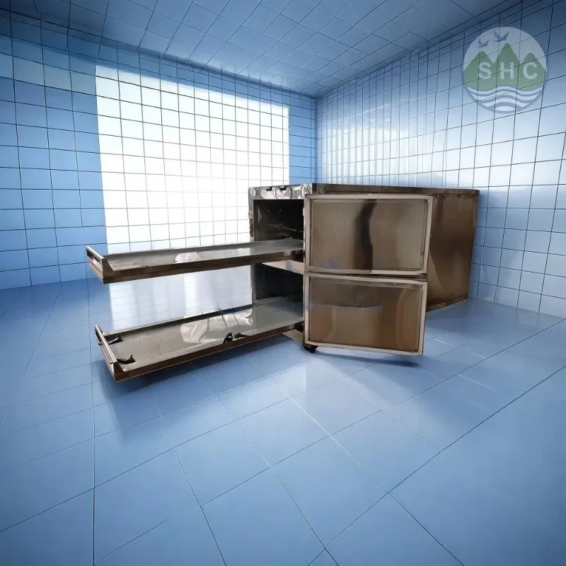 Customized Innovative Mortuary Freezer with Multipurpose Telescoping Rack for Maximum Space Usage in Funeral Homes
