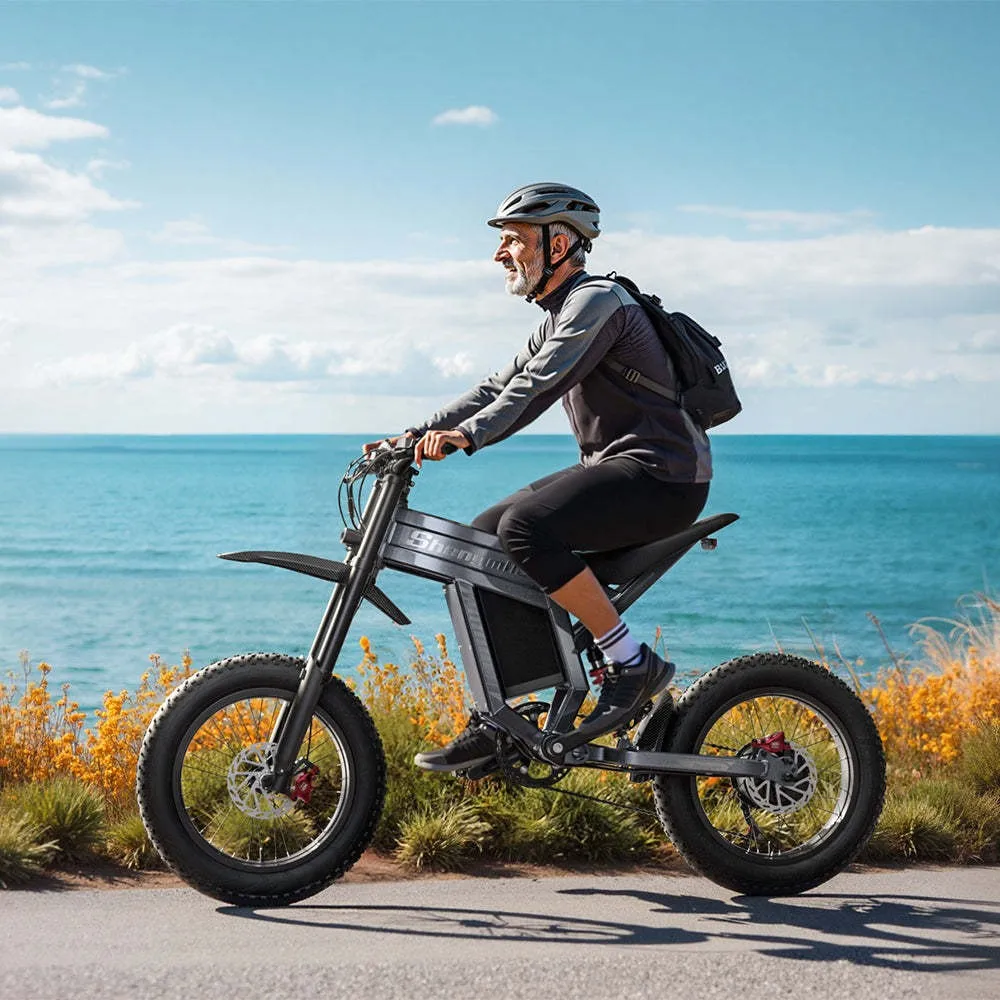 High-power long-endurance electric bicycle commuter off-road multi-purpose electric bicycle