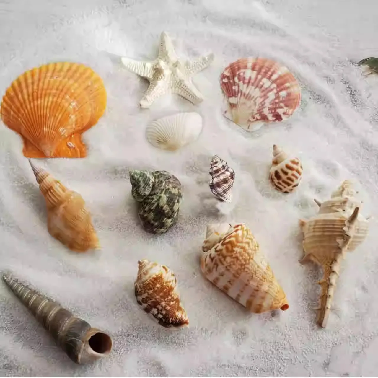 PREMIUM CRAFT SEASHELLS SET WITH STARFISH FOR PARTY DECORATIONS