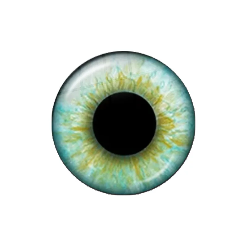 10pcs 5 Pairs 12mm-30mm Eyes Chips Suitable for Blythe Doll Green Pupil Glass Cabochons DIY Toy Doll Eye Handmade Crafts