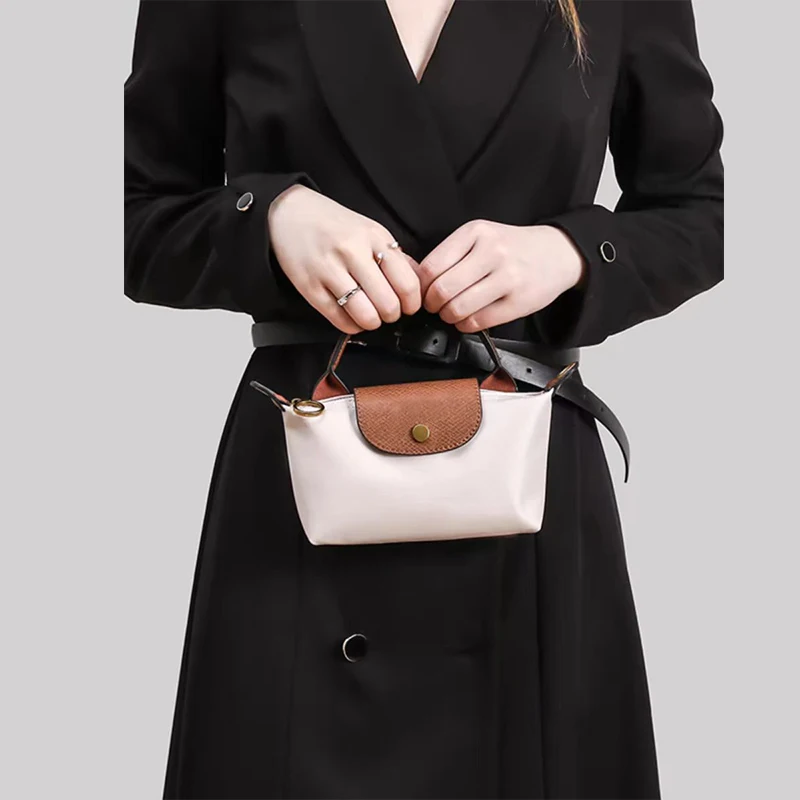 Women\'s Mini Handbag Spring Autumn Versatile Fashion Niche Designer Casual Bag Purses and Handbags Designer Bags Tote Bag