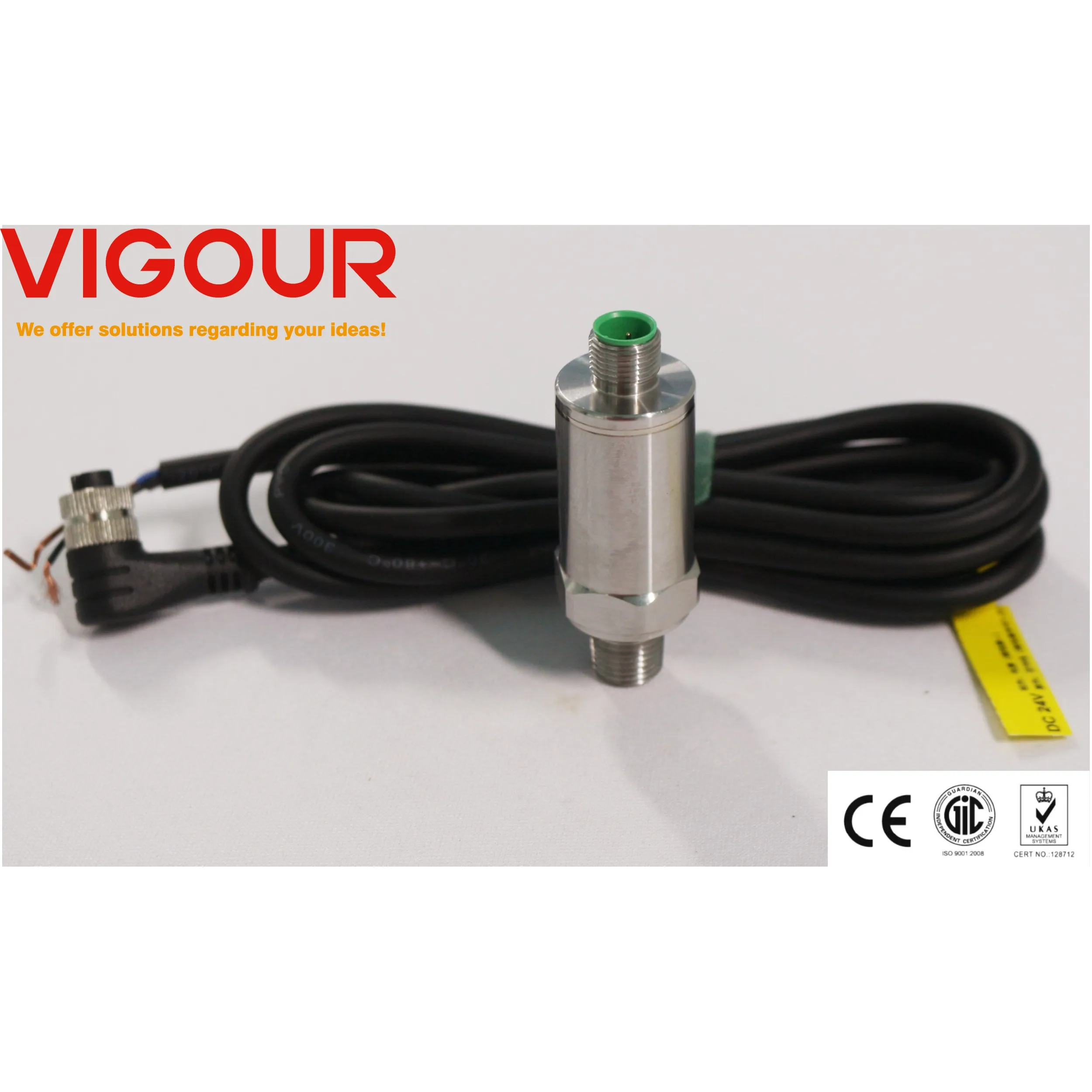 High Precision SS304/SS316L Pressure Transmitters IP66 Protection 1 Year Warranty-VIGOUR VPT-S for Accurate Sensing Measurement