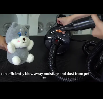 Professional Pet Grooming Carbon Dust Free Finishing Dryer with DC Brushless Motor for Show Quality Finish on Dense Curly