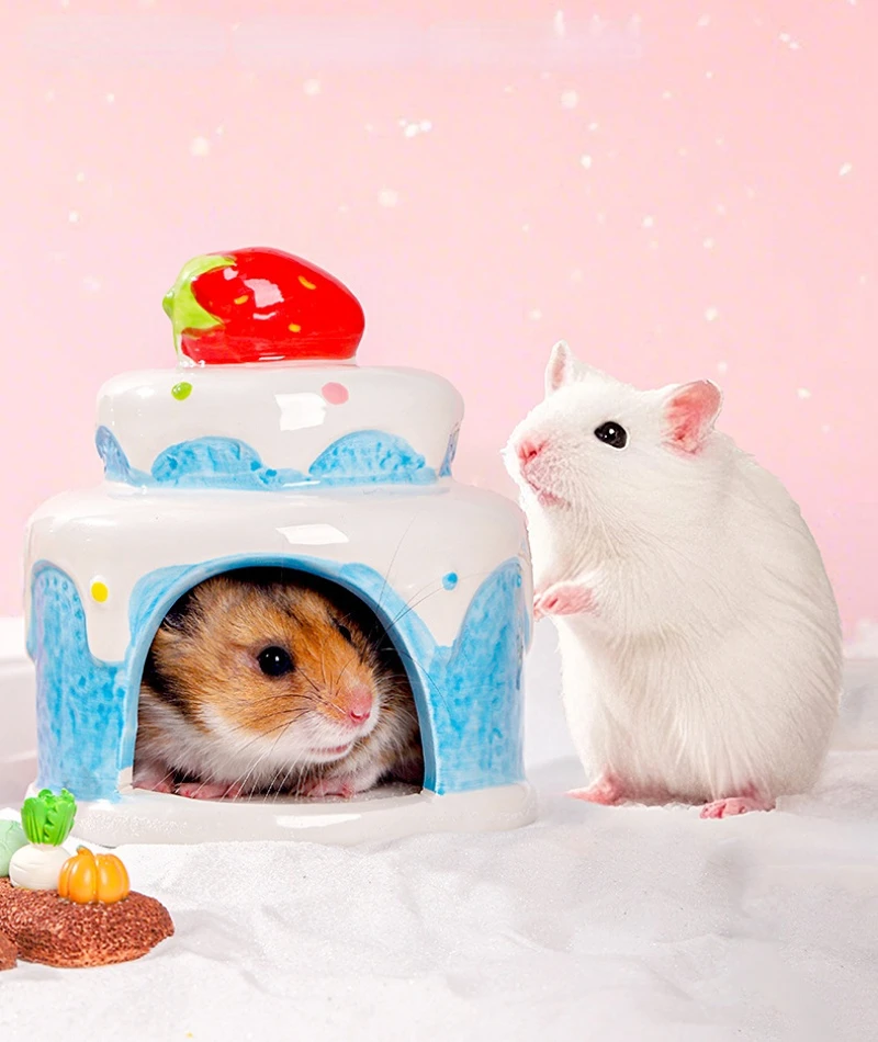 Thumbnail 4 - #18 Trending Hamster Habitats Right Now