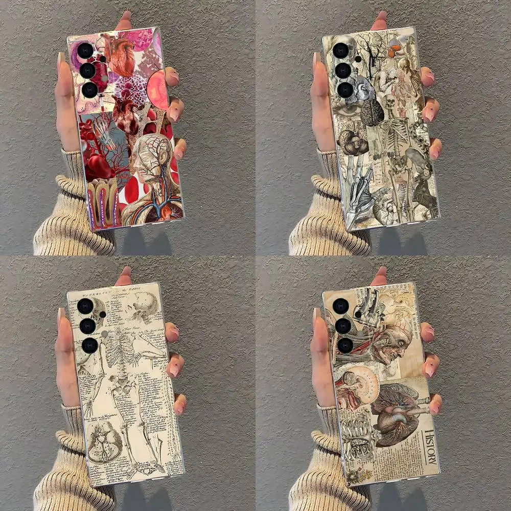 

Medical Human A-Anatomy Phone Case For Samsung S30,S25,S24,S23,S21,S22,S20,S10,5G,FE,lite,PIus,Ultra Transparent Cover