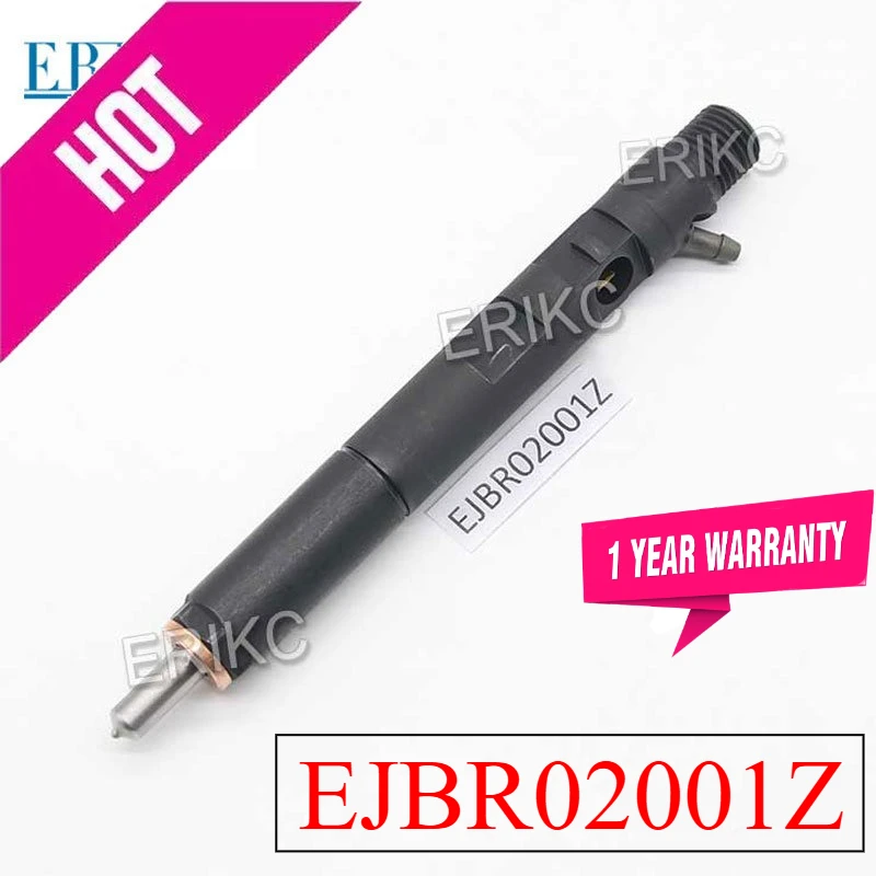 New EJBR02001Z Fuel Injection Assy 2001Z 02001Z Diesel Common Rail Sprayer R02001Z For Nozzle