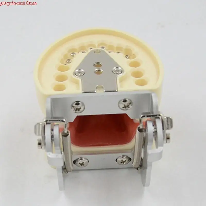 E8BA AMOVIBLE DÉTES DÉTRES AVEC