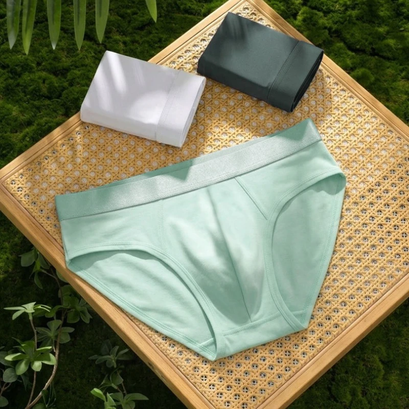 Plus Size Men's Underwear, Ice Silk Mesh Briefs, Breathable Antibacterial Crotch Male Panties for Fat Men, 2XL-11XL Available
