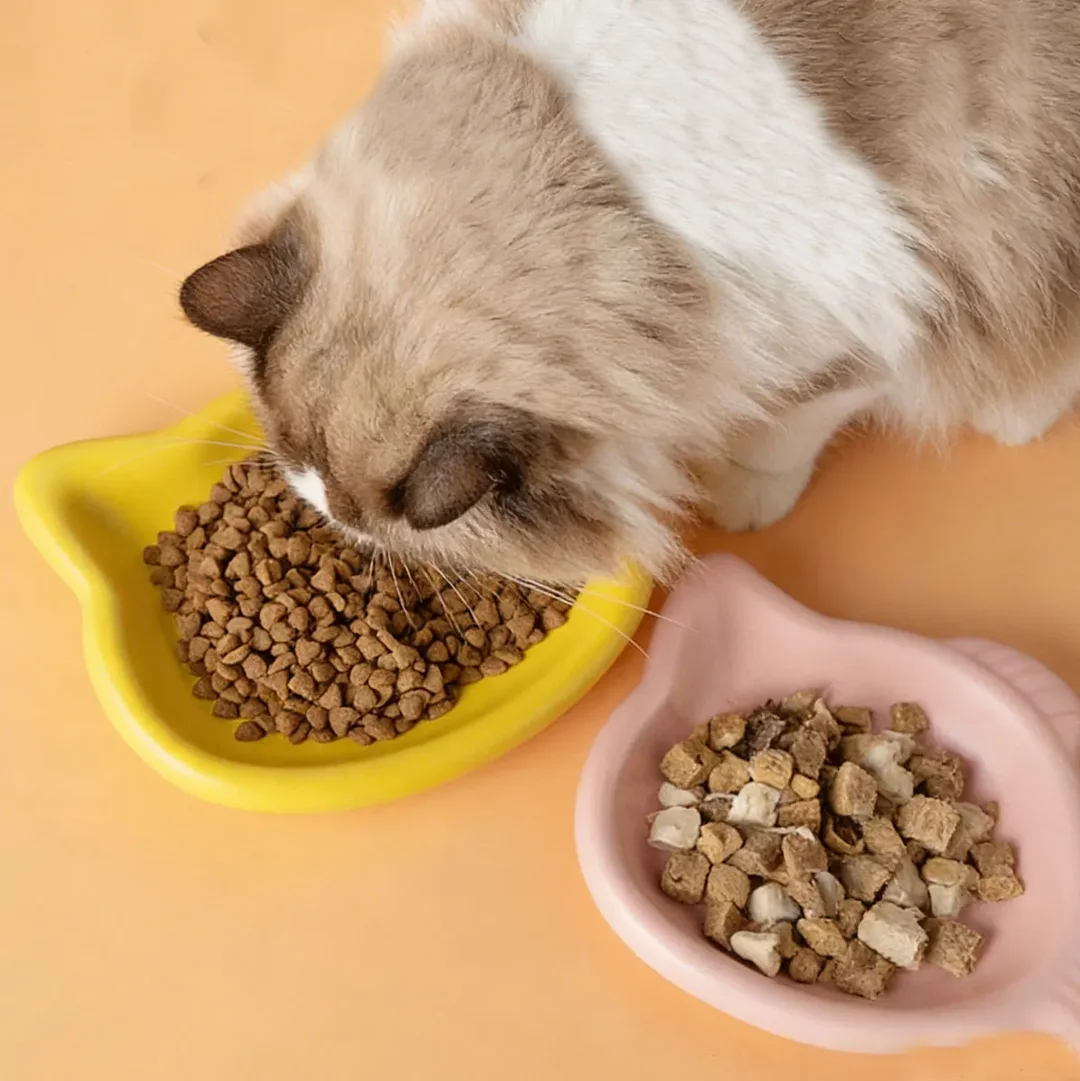 

Cute Cat Shape Pet Snack Plate, INS Style Cat Food Dish, Multi-Color Options, Non-Slip Feeding Bowl for Kittens & Small Pets