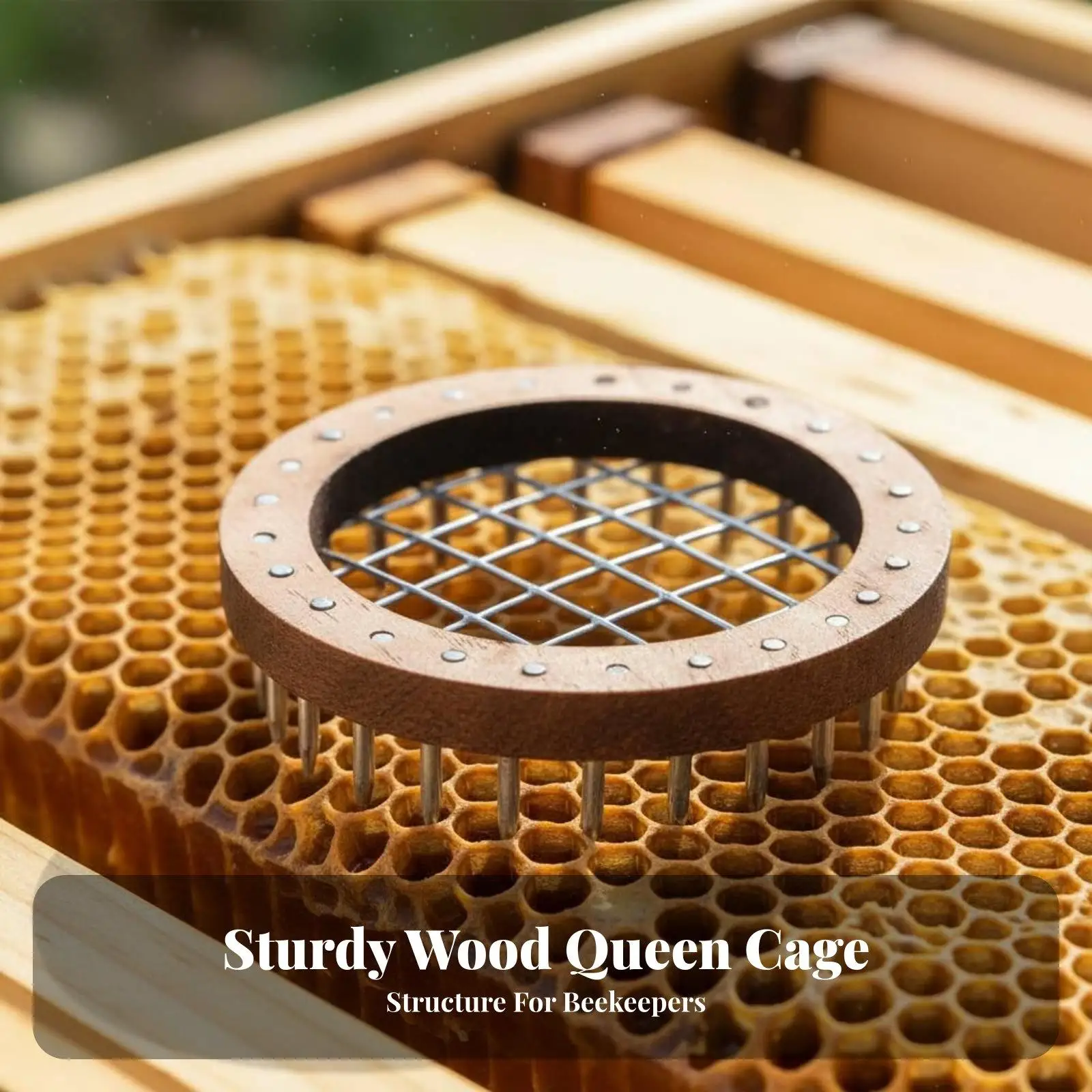 Wooden Bee Cage Multi-functional Pin Isolator Strong Hive Management Accessory for Introducing Queen in Bee Dwelling