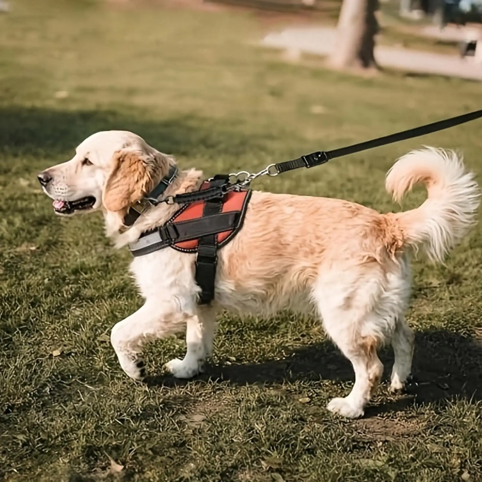 Leash Attachment Dog Safety Collar Clip Adjustable Length With 360 Swivel For Small Medium Puppy Kitten Home Outdoor