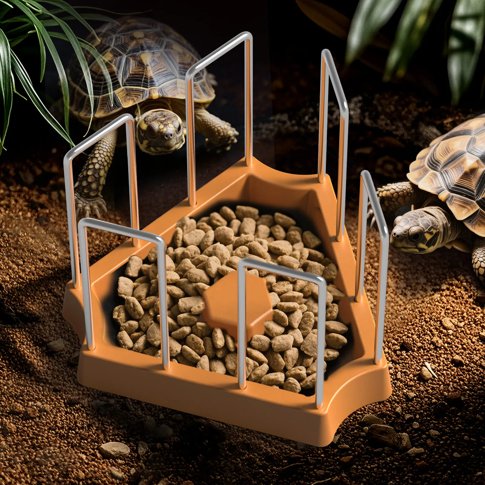 Land Turtle Feeding Basin, Fence Design to Prevent Trampling and Competition, Turtle Feeding Basin, Water Basin