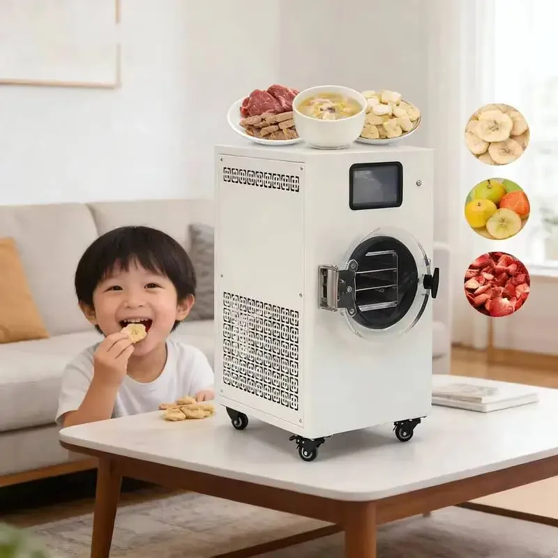 Desidratador Doméstico Pequeno com Controle Inteligente de Temperatura, Equipamento de Secagem com 1 Ano de Garantia