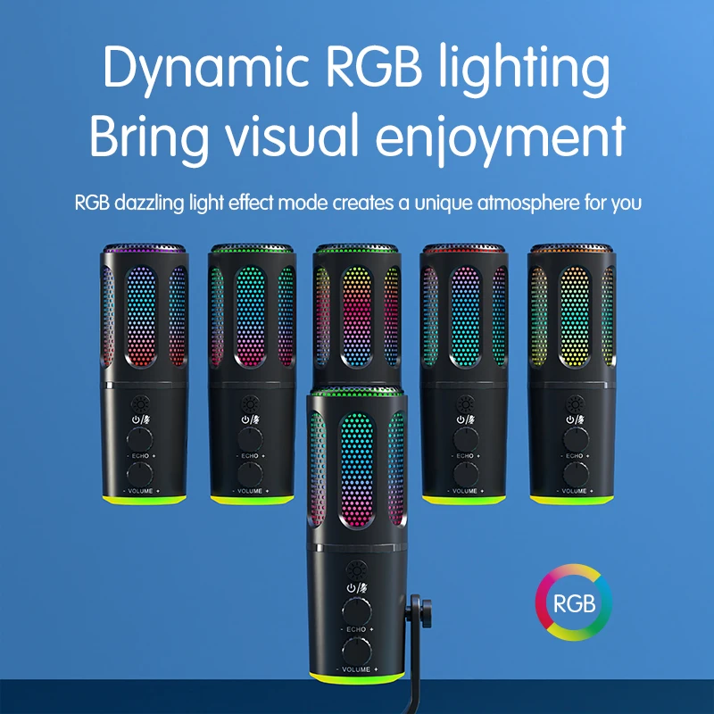 Professional 2.4G Wireless Omnidirectional Polar Pattern USB Computer Recording Microphone Echo Mute Comfortable Earpots Studio