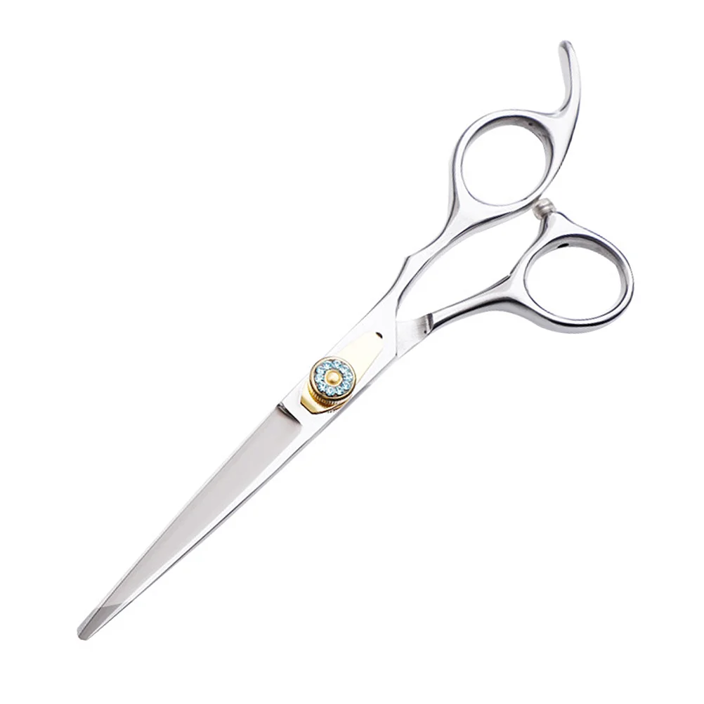 1PC Hair Salon Scissor Delicate Bangs Hairdressing Scissor Hair Clipping Tool for Home Shop (Regular Scissor)