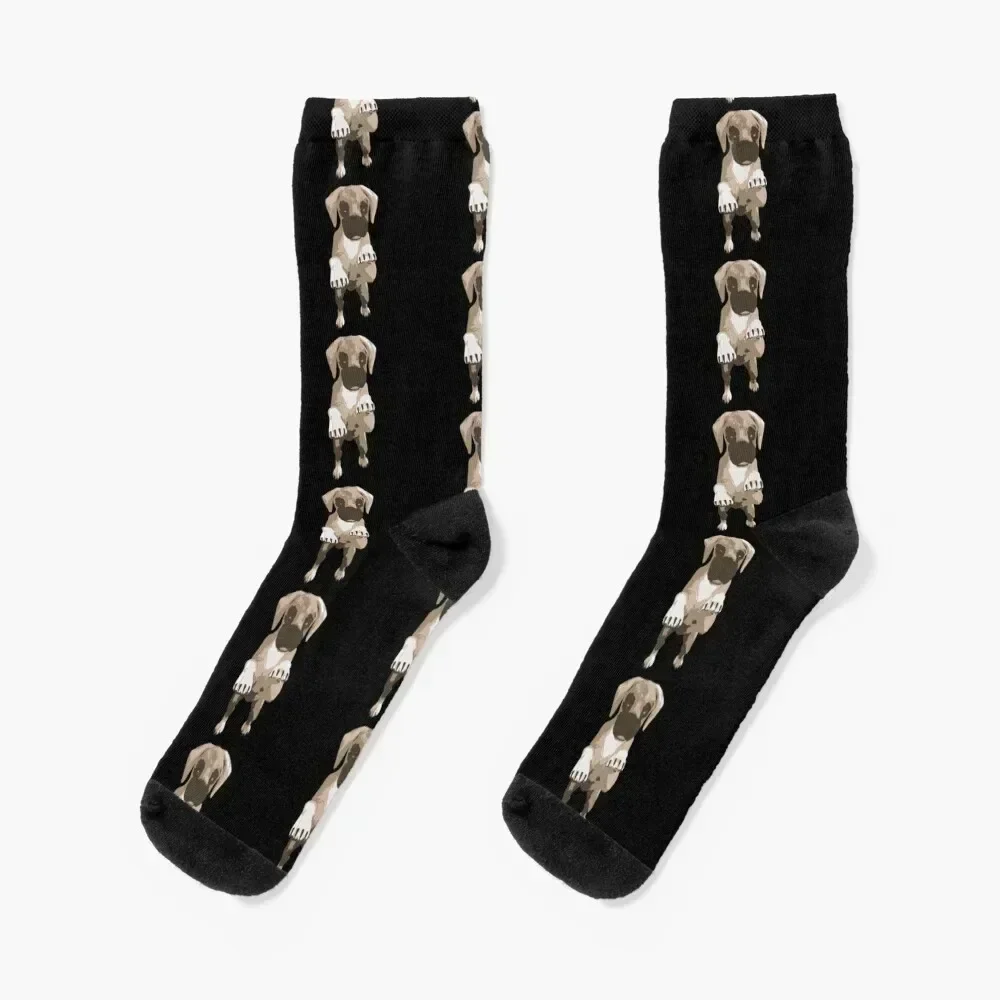

Great Dane puppy Socks warm winter anti slip football Socks Male Women's