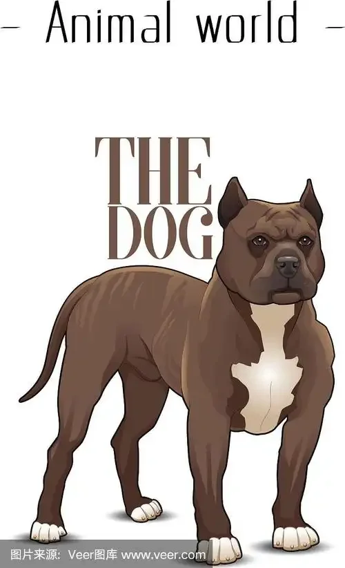 

Регулируемое крепление двигателя из сплава 540 380/390, подходит для WLtoys 1:18 A949 A959 A969 A979 1/12 Wltoys 12428 12423