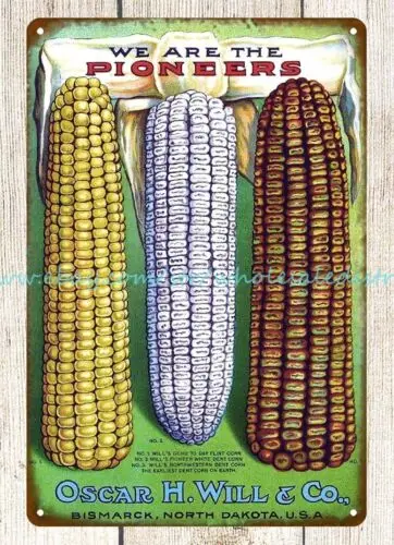 1917 옥수수종자, 오스카 H. Will & Co. Bismarck, North Dakota 금속 주석 사인 