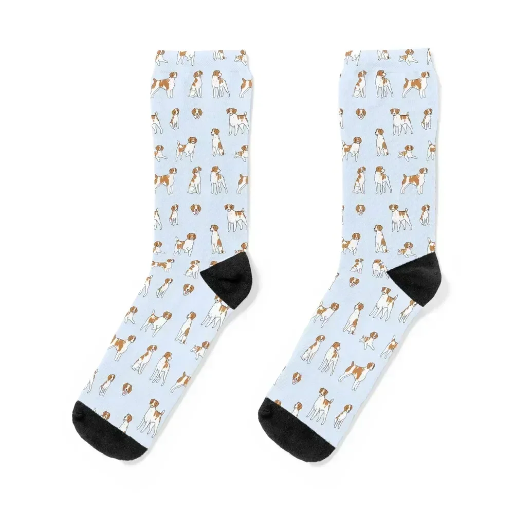 

Brittany dog cute illustration pack Socks compression anti slip football Stockings man luxury Women Socks Men's