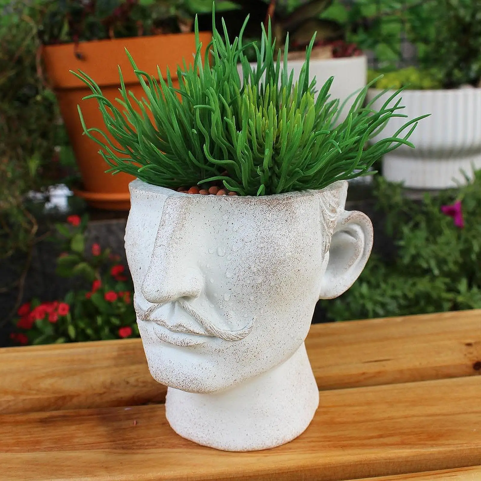 

Цветочный горшок для лица, уникальный орнамент, практичный подарок, контейнер для растений, цветочный горшок для внутреннего и наружного сада, заднего двора, балкона, патио