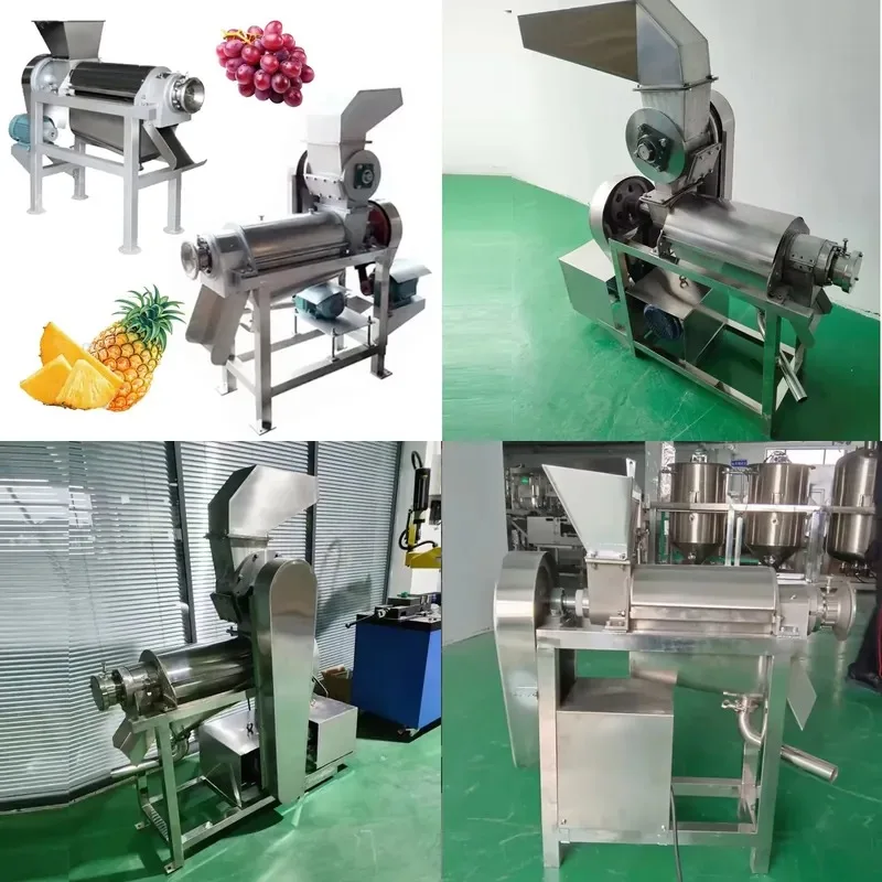 Pineapple Juice Extraction Machine Lemon Juice Maker Production Line for Fruit Beverage Processing Equipment