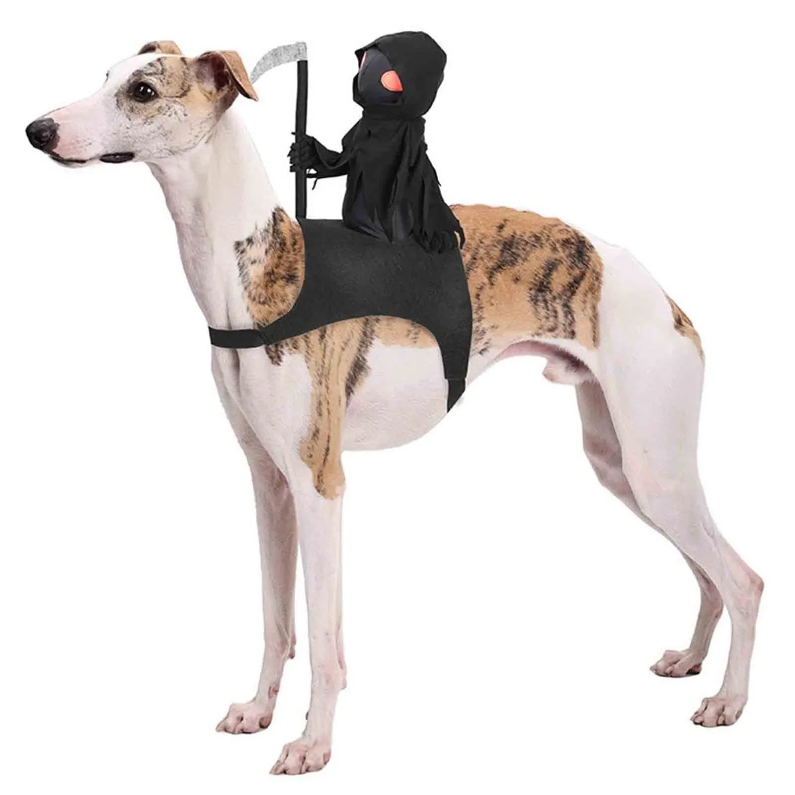 Festival Dog Outfit… - image