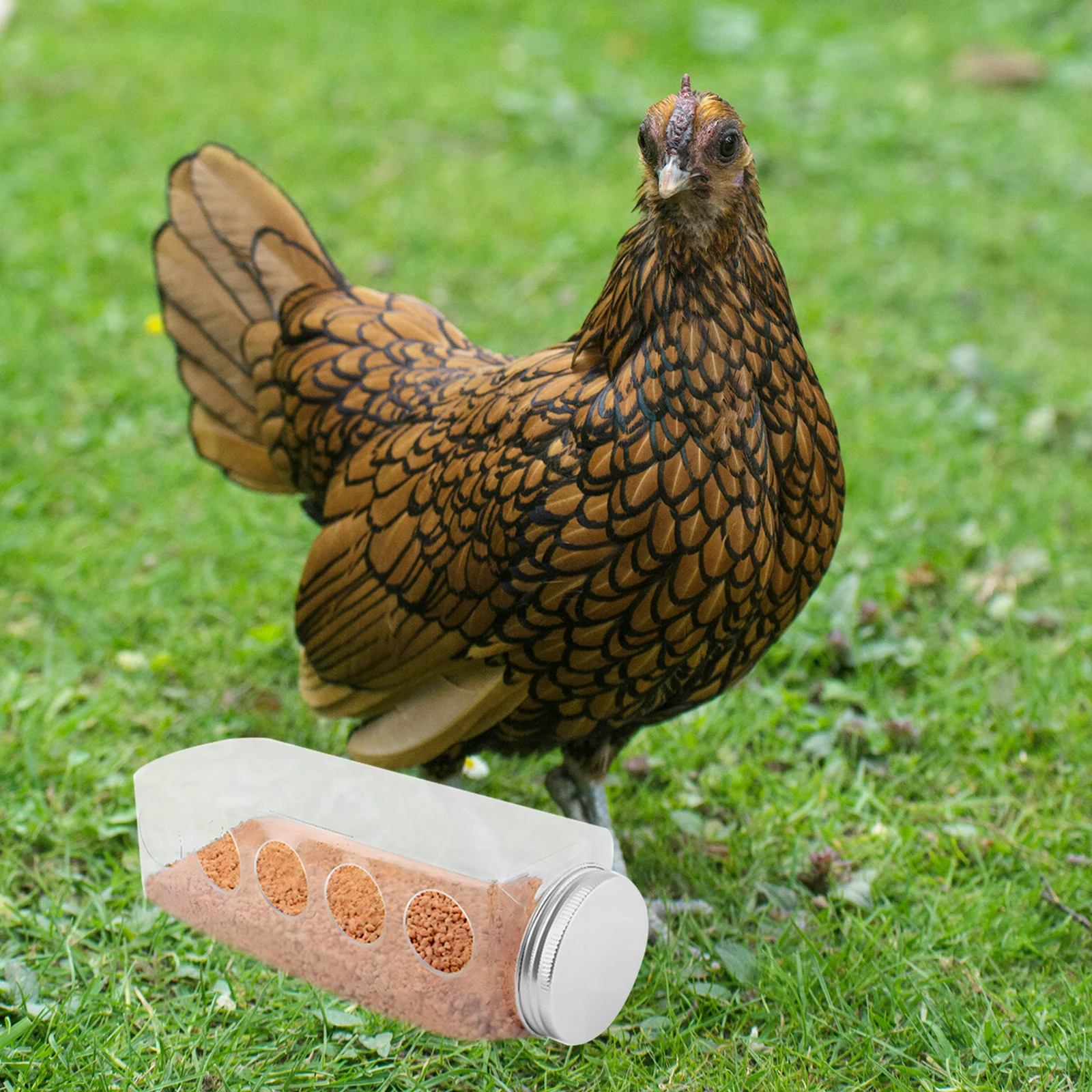 

Automatic Chicken Pet Water Holder Clear Plastic Rutin Feeder Durable Multi Hole Design Feeding Trough Bird Parrot Pigeon Food